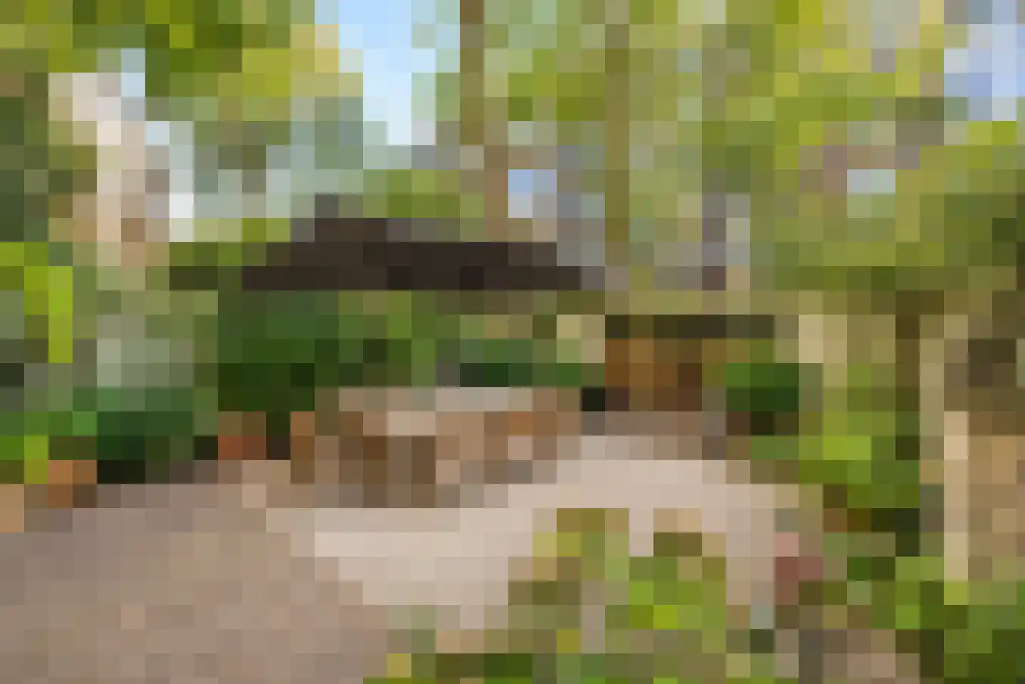 Van Miereveldstraat 7 Amsterdam thumbnail 4