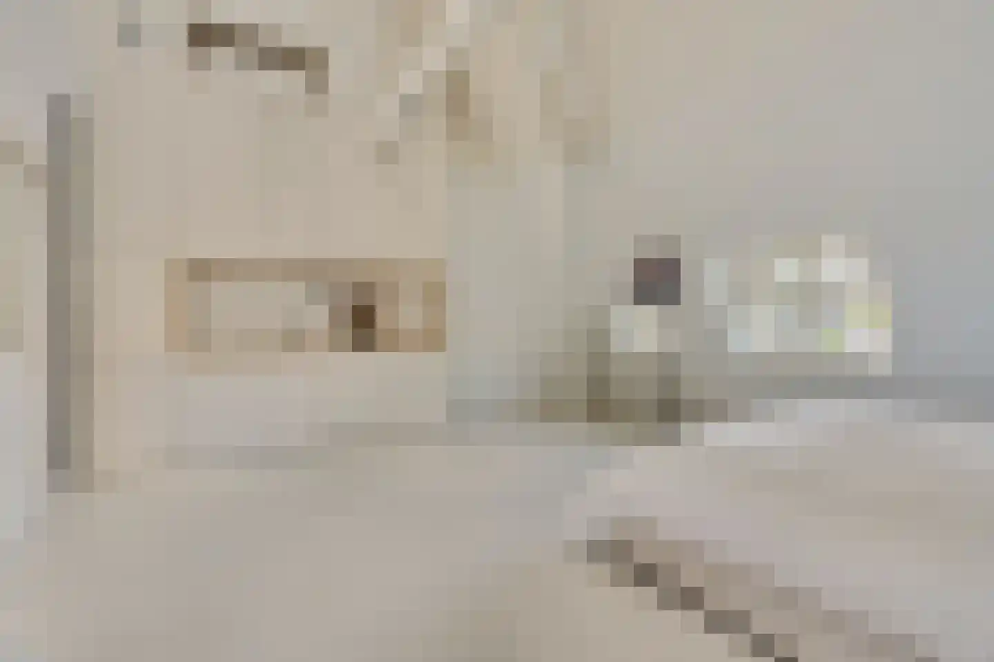 Van Miereveldstraat 7 Amsterdam thumbnail 43