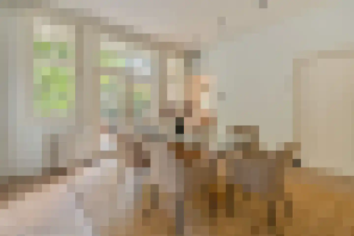 Van Miereveldstraat 7 Amsterdam thumbnail 5