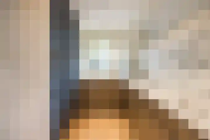 Van Miereveldstraat 7 Amsterdam thumbnail 5