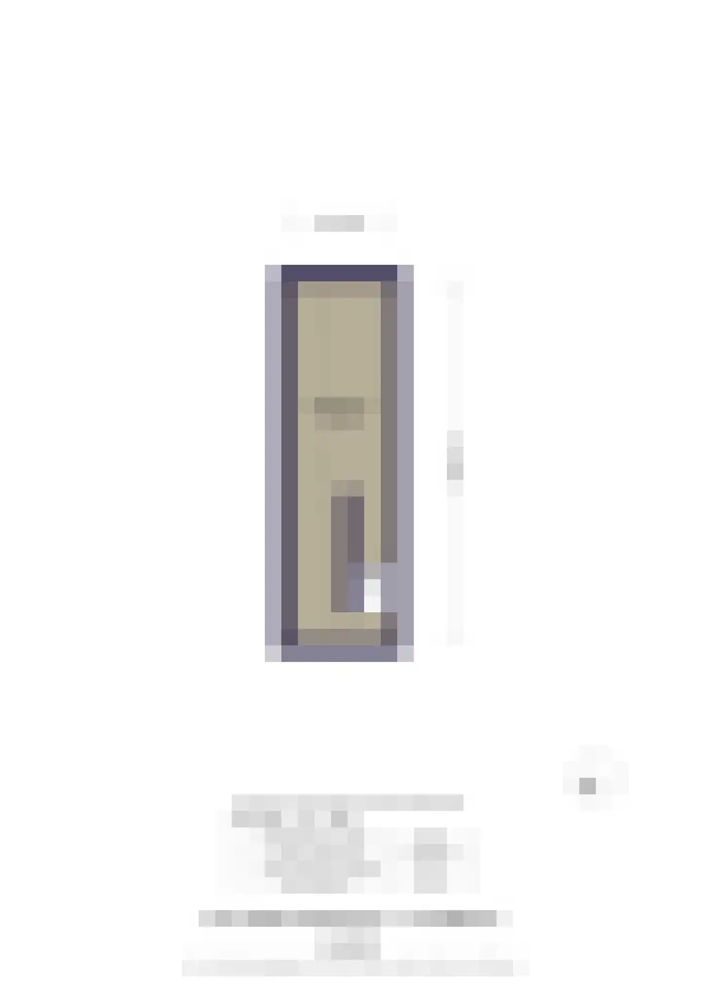 Van Miereveldstraat 7 Amsterdam thumbnail 58