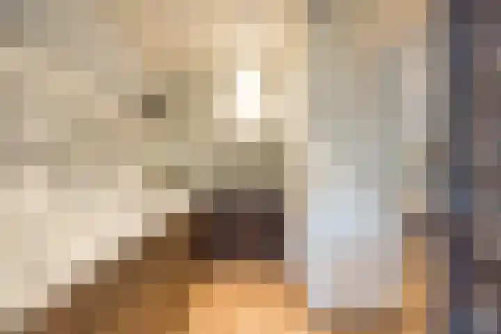Van Miereveldstraat 7 Amsterdam thumbnail 6