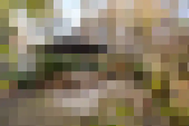 Van Miereveldstraat 7 Amsterdam thumbnail 8