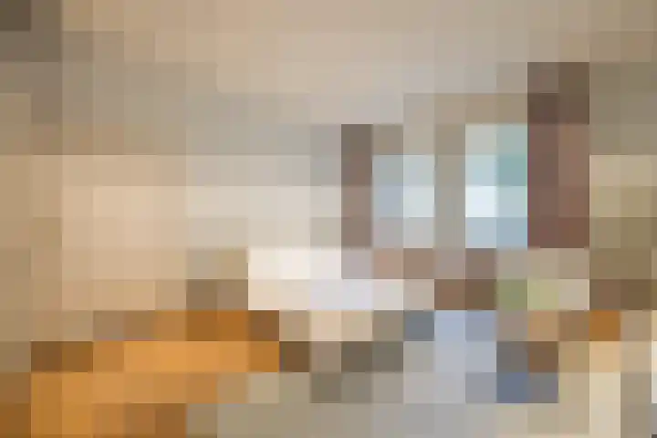 Van Miereveldstraat 7 Amsterdam thumbnail 9