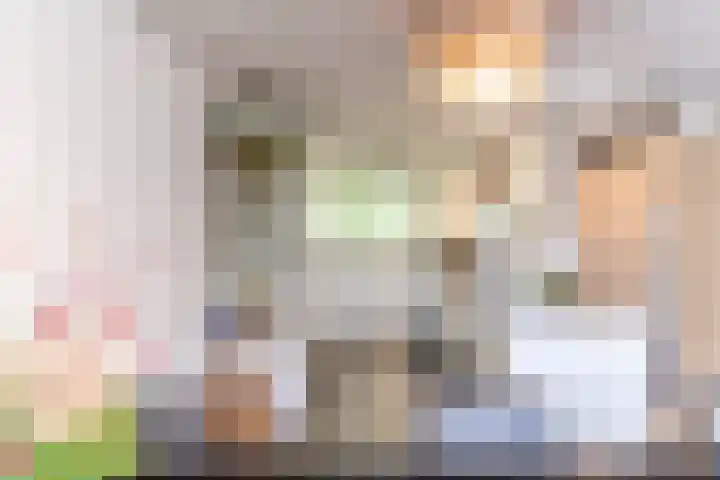 Van Miereveltlaan 5 D Delft thumbnail 12