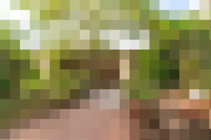 Van Miereveltlaan 5 D Delft thumbnail 15