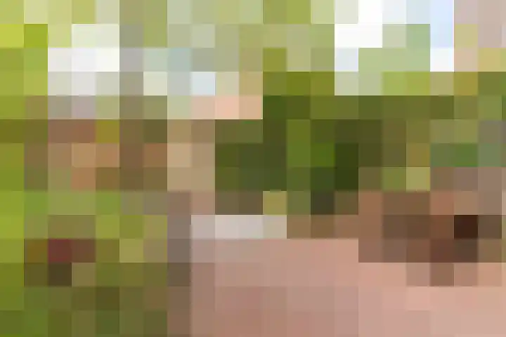 Van Miereveltlaan 5 D Delft thumbnail 16