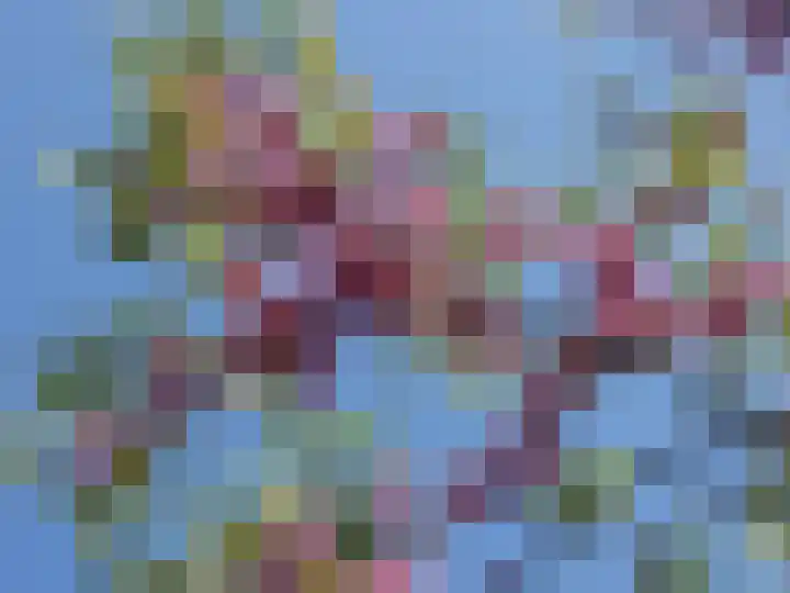Van Miereveltlaan 5 D Delft thumbnail 17