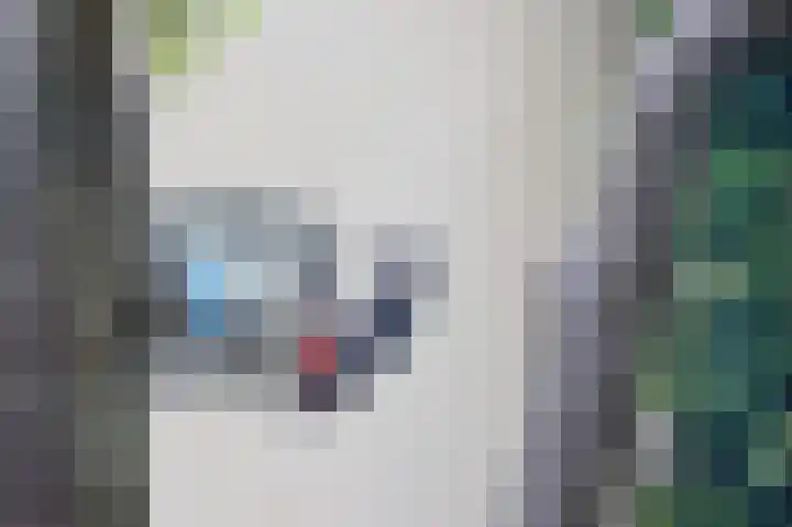 Van Miereveltlaan 5 D Delft thumbnail 19