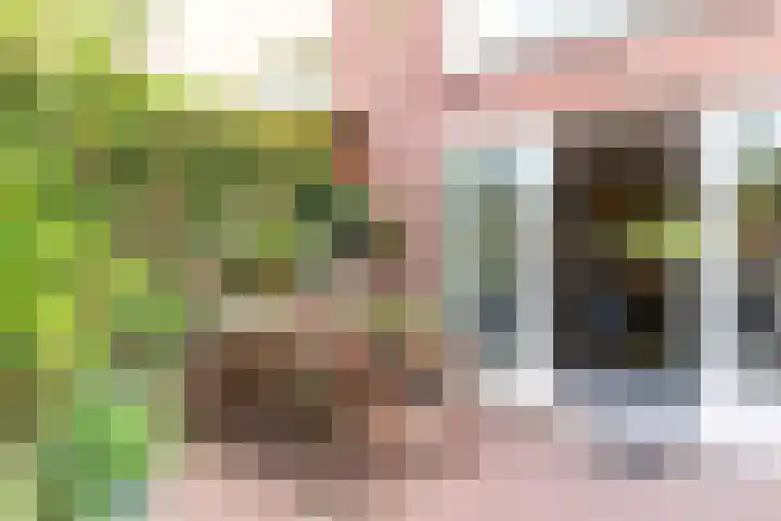 Van Miereveltlaan 5 D Delft thumbnail 22
