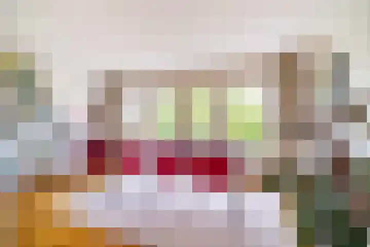 Van Miereveltlaan 5 D Delft thumbnail 28