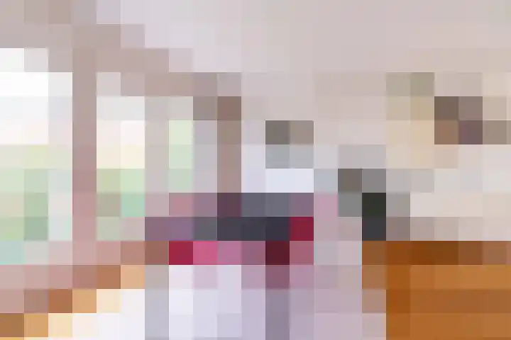 Van Miereveltlaan 5 D Delft thumbnail 29