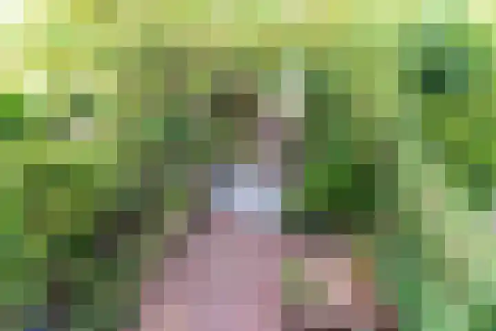 Van Miereveltlaan 5 D Delft thumbnail 30