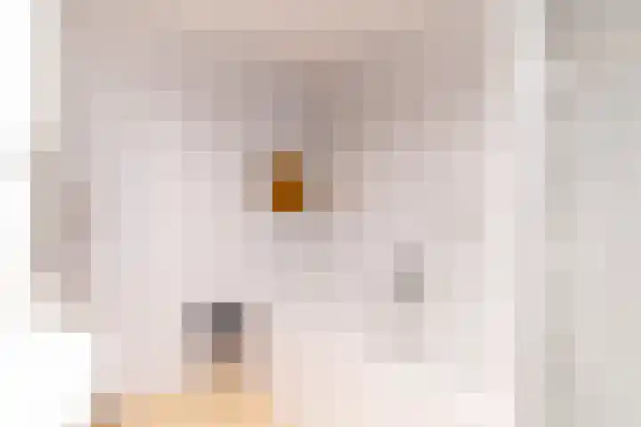 Van Miereveltlaan 5 D Delft thumbnail 38