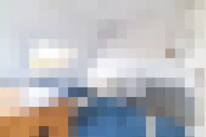 Van Miereveltlaan 5 D Delft thumbnail 43