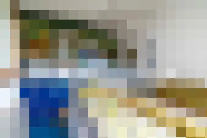 Van Miereveltlaan 5 D Delft thumbnail 47