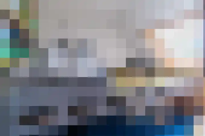 Van Miereveltlaan 5 D Delft thumbnail 49