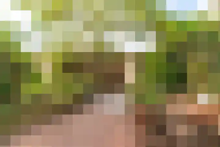 Van Miereveltlaan 5 D Delft thumbnail 5