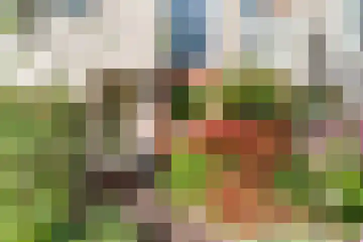 Van Miereveltlaan 5 D Delft thumbnail 6