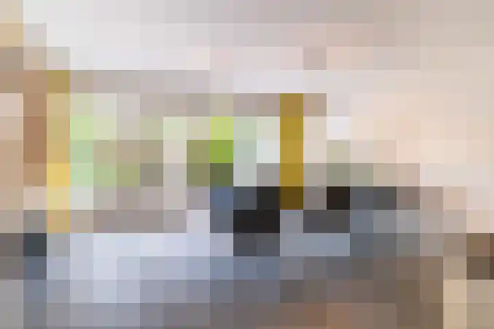 Van Miereveltlaan 5 D Delft thumbnail 9