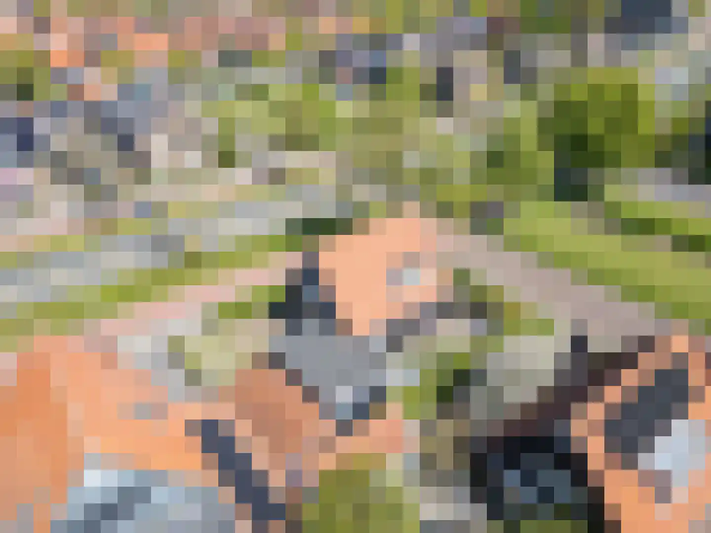 van Miereveltplantsoen 14 Leeuwarden thumbnail 66