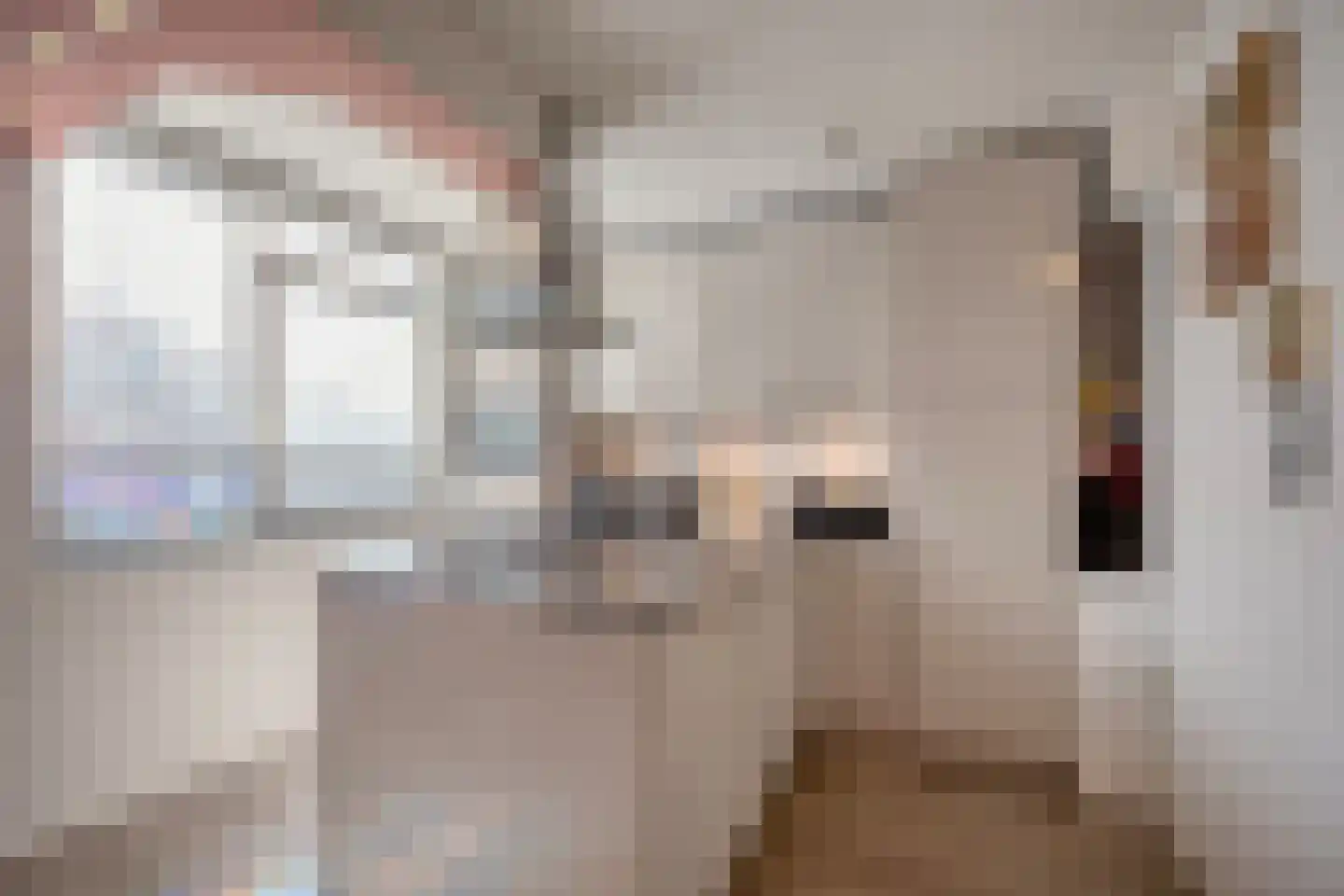 Van Miereveltstraat 21 Den Haag thumbnail 21