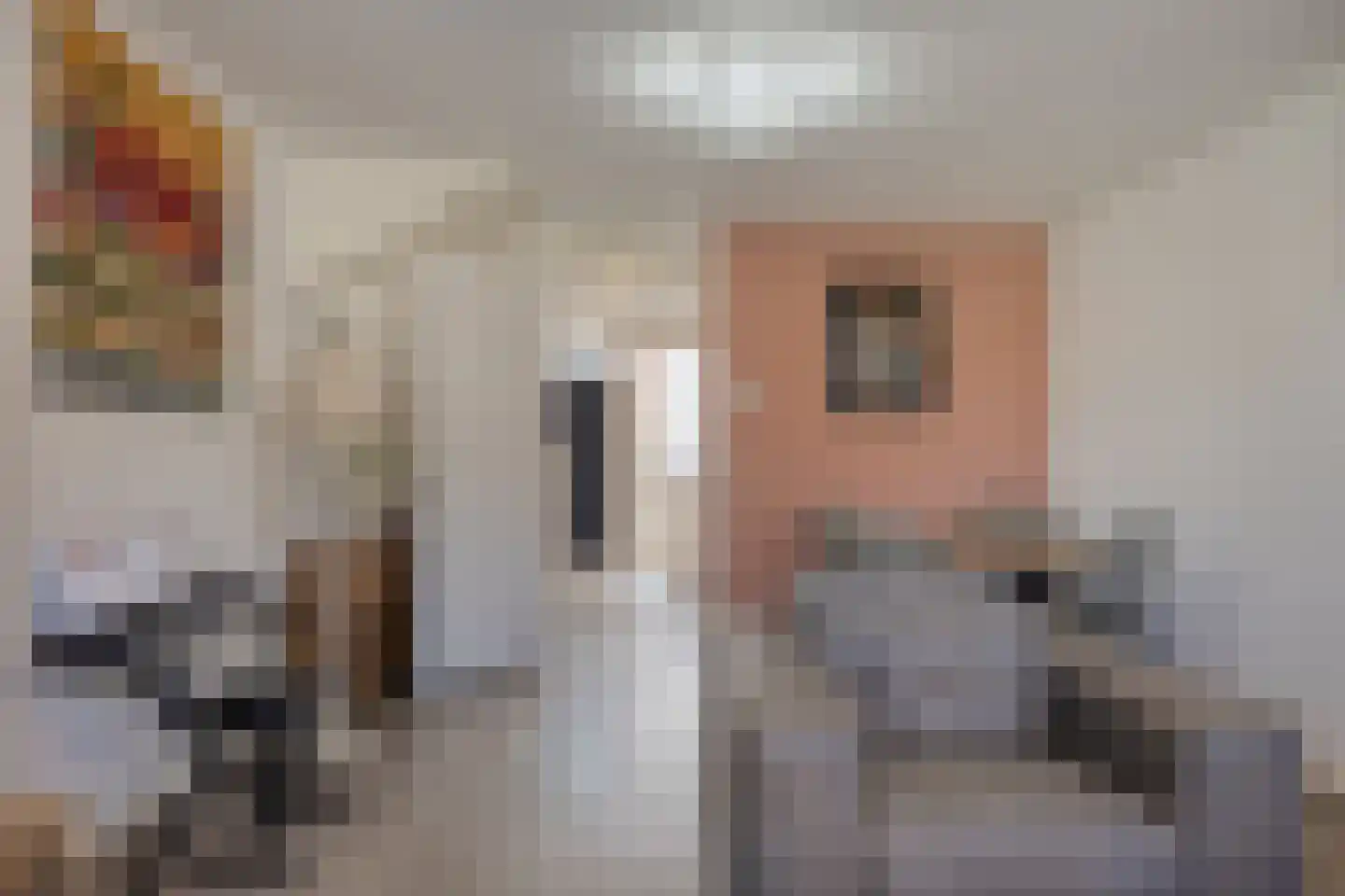 Van Miereveltstraat 21 Den Haag thumbnail 5