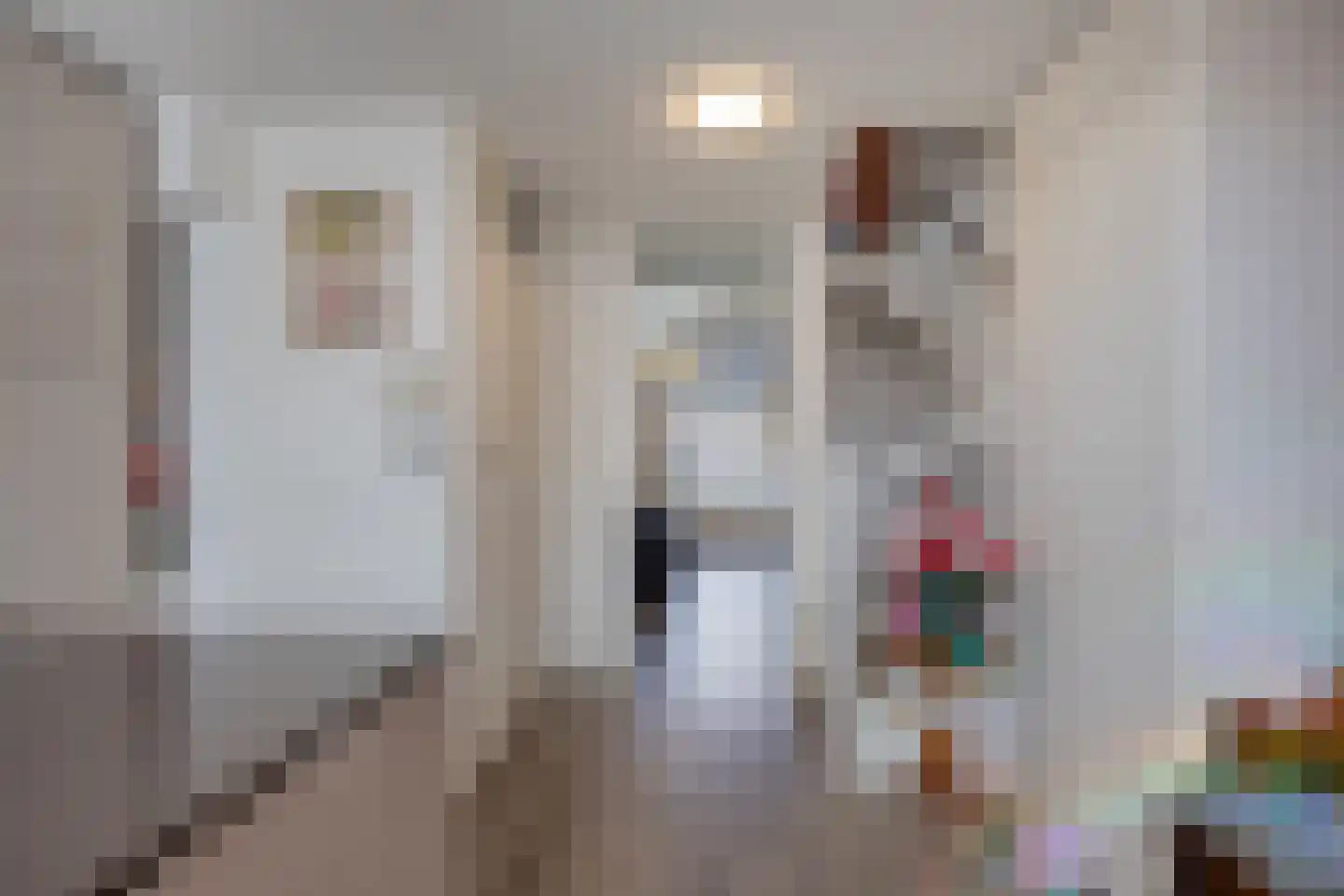 Van Miereveltstraat 21 Den Haag thumbnail 6