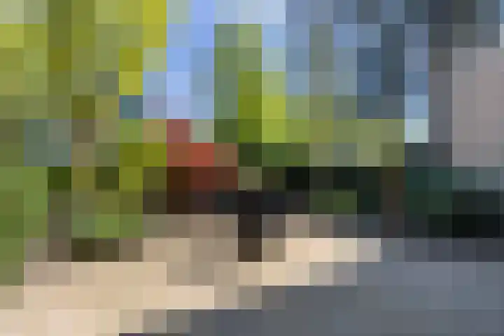 Van Miereveltstraat 27 Apeldoorn thumbnail 12