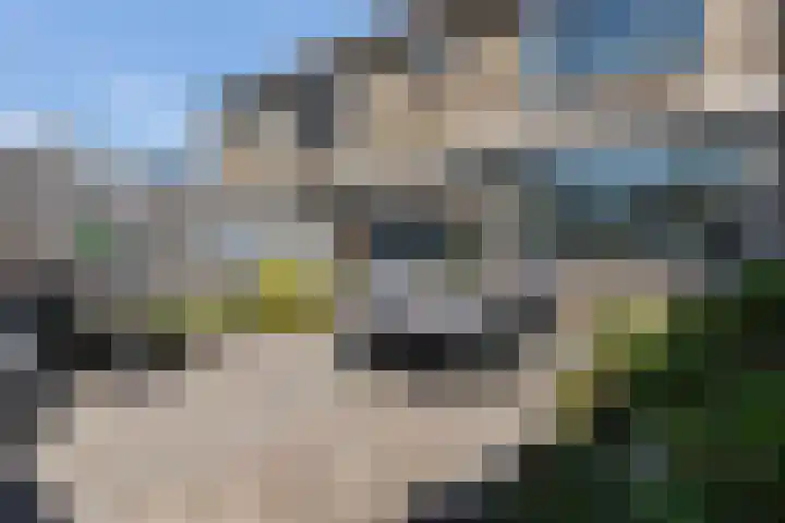 Van Miereveltstraat 27 Apeldoorn thumbnail 18
