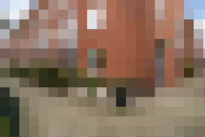 Van Miereveltstraat 55 Den Haag thumbnail 61