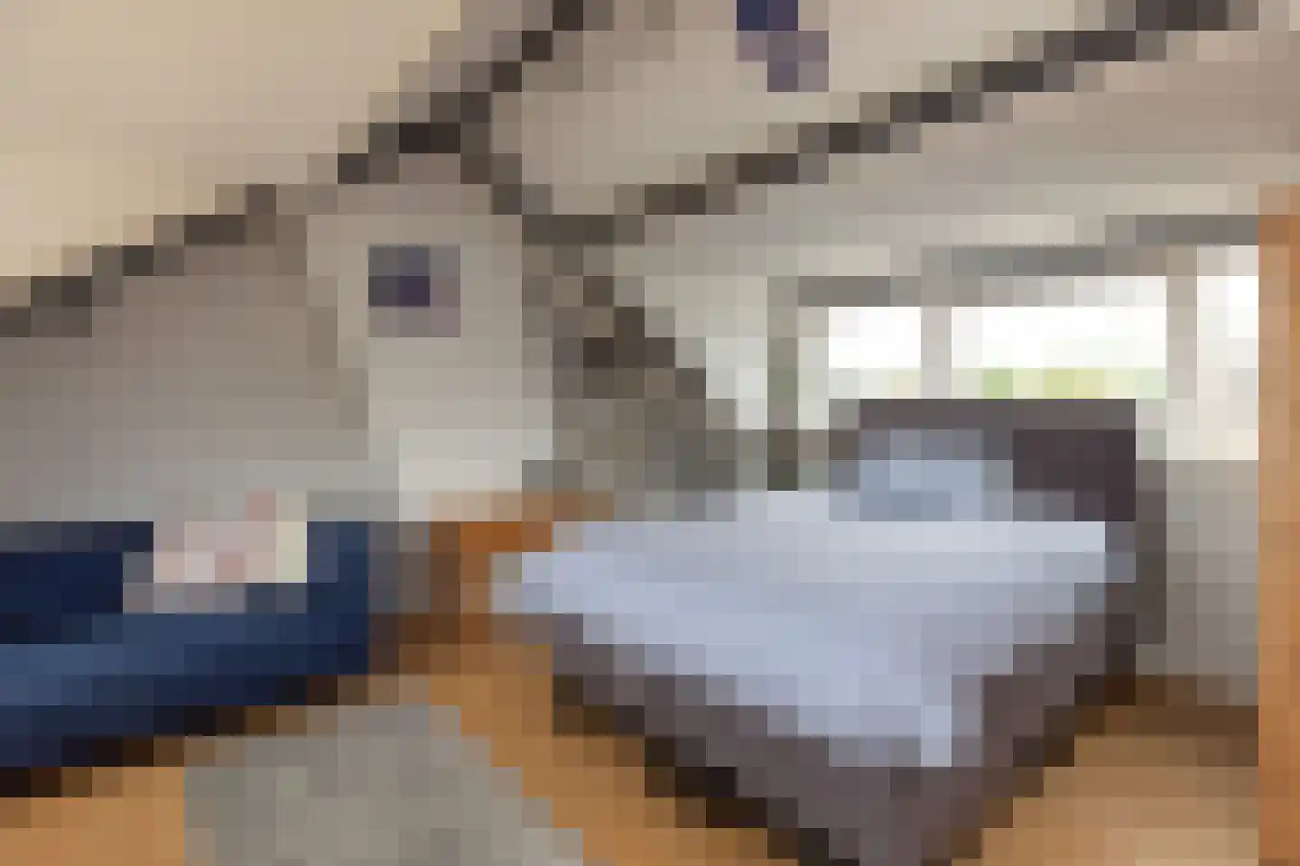 van Mierislaan 2 Loosdrecht thumbnail 32