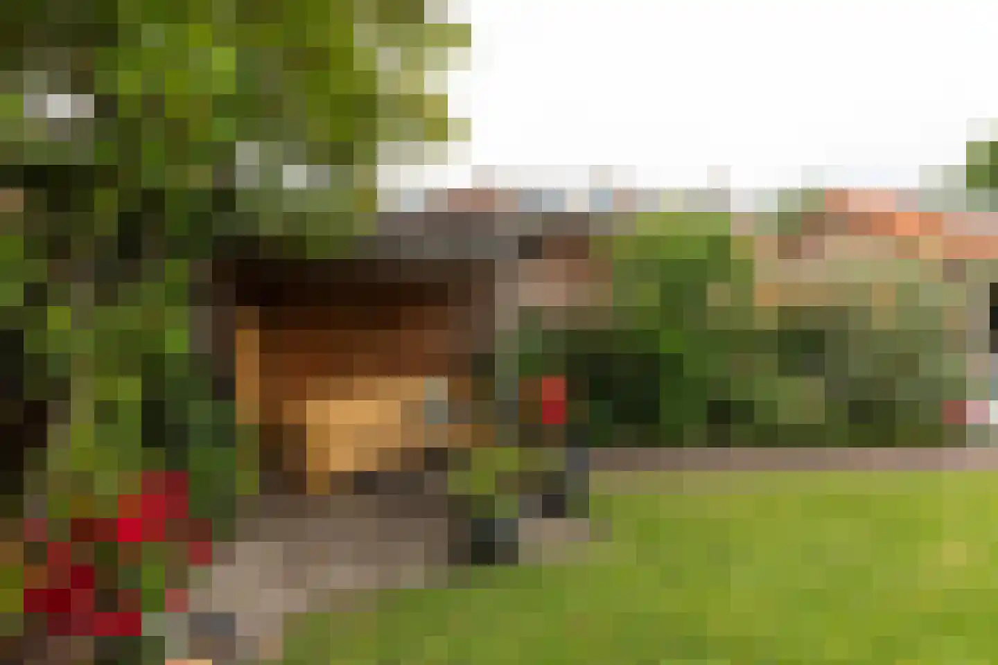 van Mierislaan 2 Loosdrecht thumbnail 35
