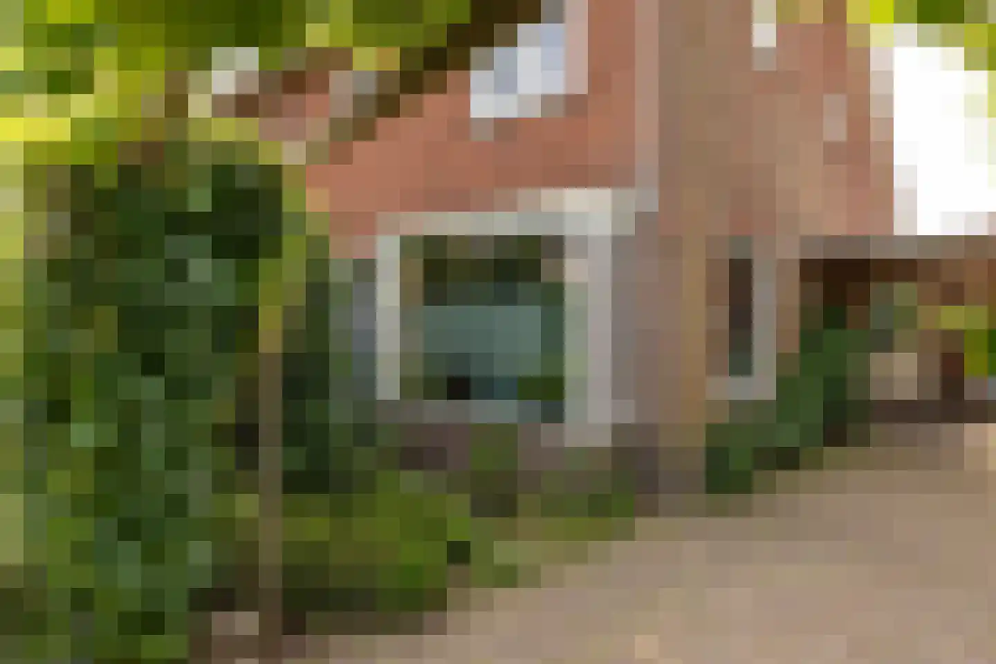 van Mierislaan 2 Loosdrecht thumbnail 36
