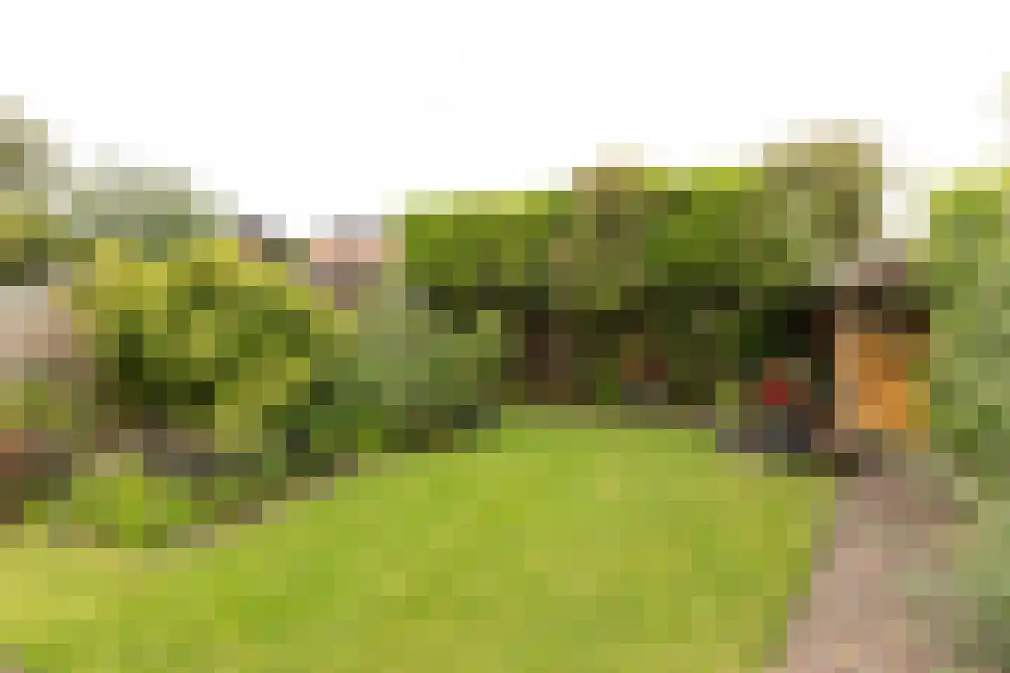 van Mierislaan 2 Loosdrecht thumbnail 37
