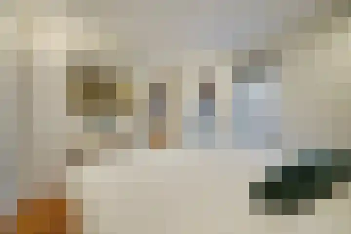Van Mierisstraat 28 Den Haag thumbnail 22
