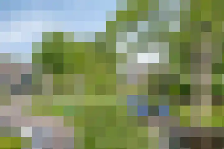 van Mieroplaan 29 Heerhugowaard thumbnail 31