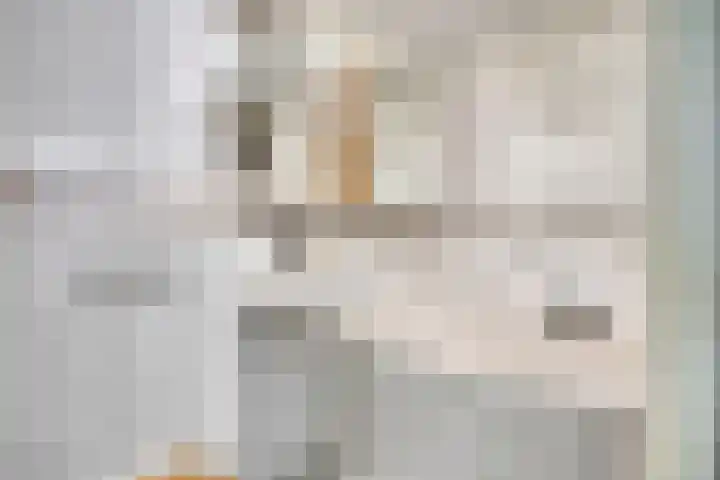 van Mieroplaan 29 Heerhugowaard thumbnail 32