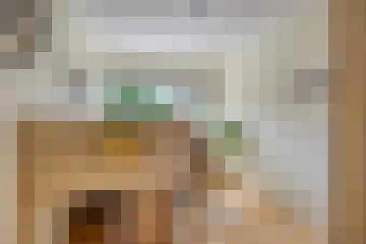 van Mieroplaan 29 Heerhugowaard thumbnail 34