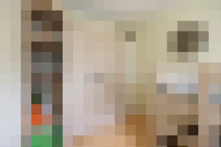 van Mieroplaan 29 Heerhugowaard thumbnail 36