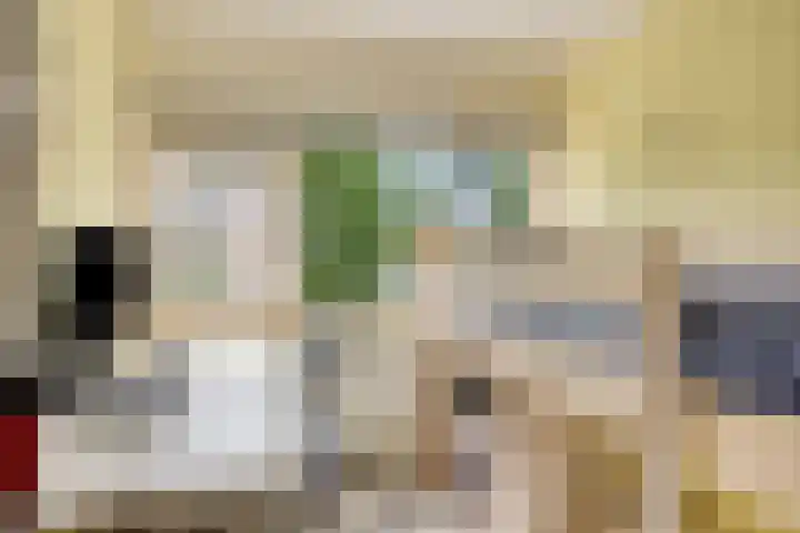 van Mieroplaan 29 Heerhugowaard thumbnail 38