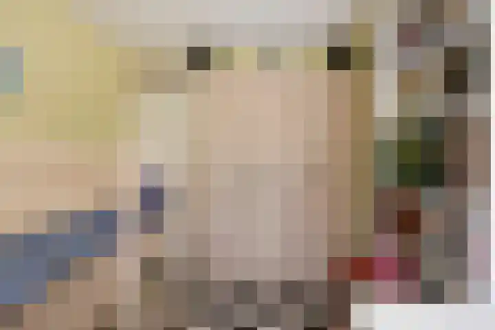van Mieroplaan 29 Heerhugowaard thumbnail 39