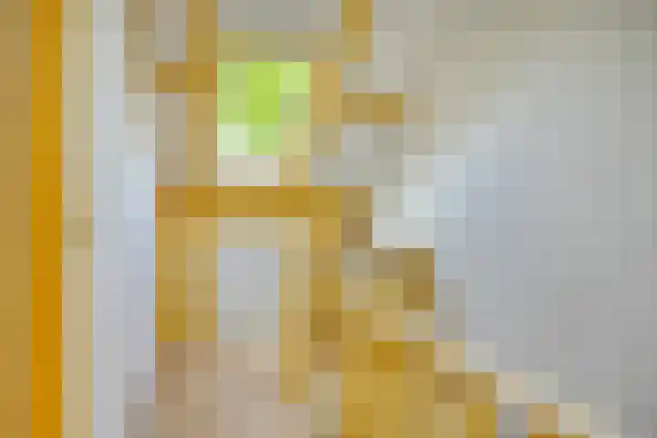 van Mieroplaan 29 Heerhugowaard thumbnail 43