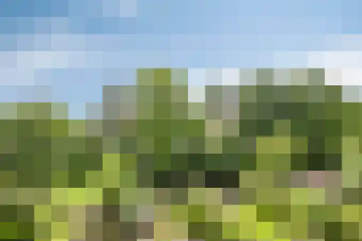 van Mieroplaan 29 Heerhugowaard thumbnail 47