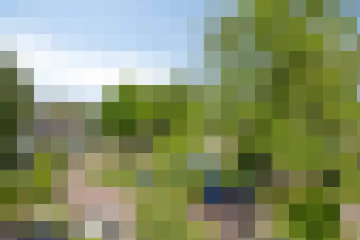 van Mieroplaan 29 Heerhugowaard thumbnail 53