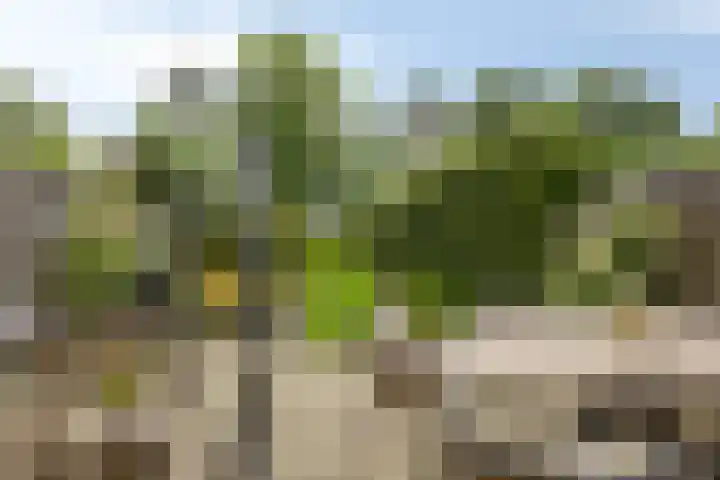 van Mieroplaan 29 Heerhugowaard thumbnail 54