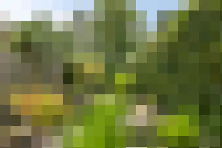 van Mieroplaan 29 Heerhugowaard thumbnail 55