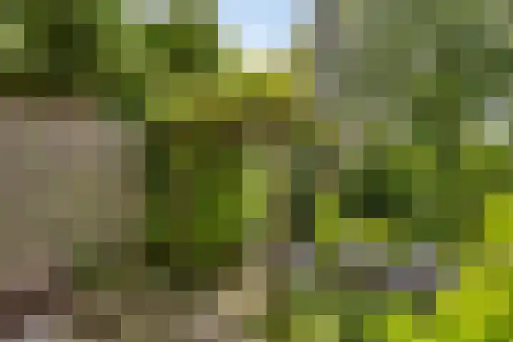 van Mieroplaan 29 Heerhugowaard thumbnail 57