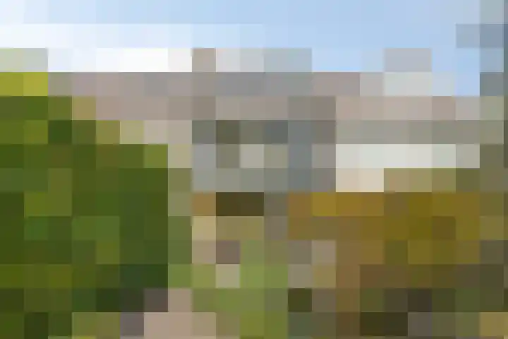 van Mieroplaan 29 Heerhugowaard thumbnail 58