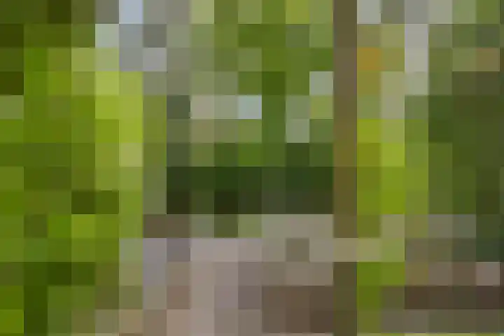 van Mieroplaan 29 Heerhugowaard thumbnail 59